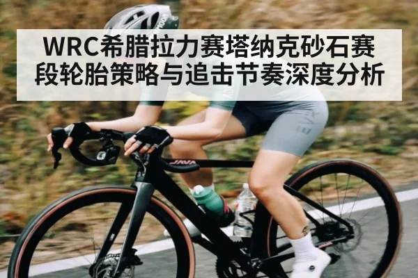 WRC希腊拉力赛塔纳克砂石赛段轮胎策略与追击节奏深度分析